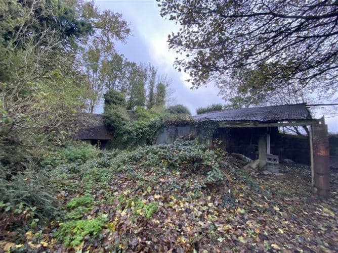 Ballysallagh (Derelict Res. & C. 3 Acres), Hacketstown, County Carlow