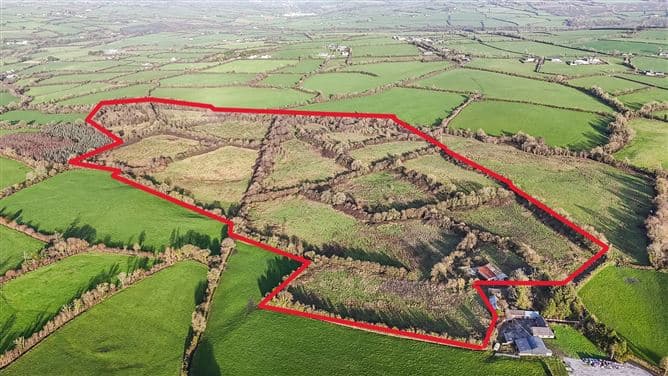 c. 23.33 hectares at Muckalee, Ballyfoyle, Co. Kilkenny