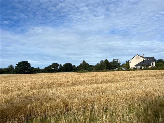 Ballyeden (C. 0.75 Acre Site), Camolin, County Wexford