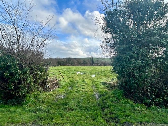 BALLYDOWEL,RATHMOYLE, Kilkenny, Kilkenny