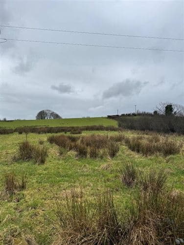 Toneneave, Maghercloone, Carrickmacross, Co. Monaghan