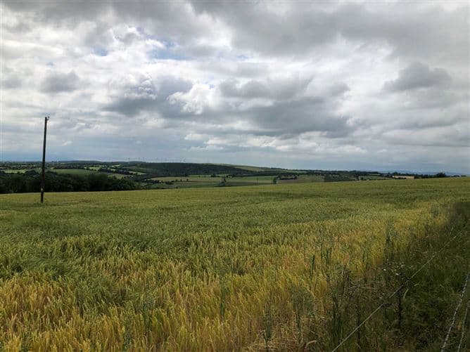 Cathaganstown, Killenaule, Co. Tipperary