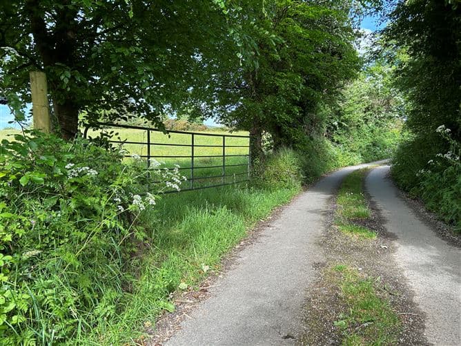 Site at Ballycorrigan, Ballina, Tipperary