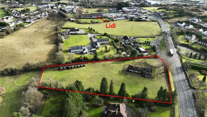Birr Road, Roscrea, Co. Tipperary