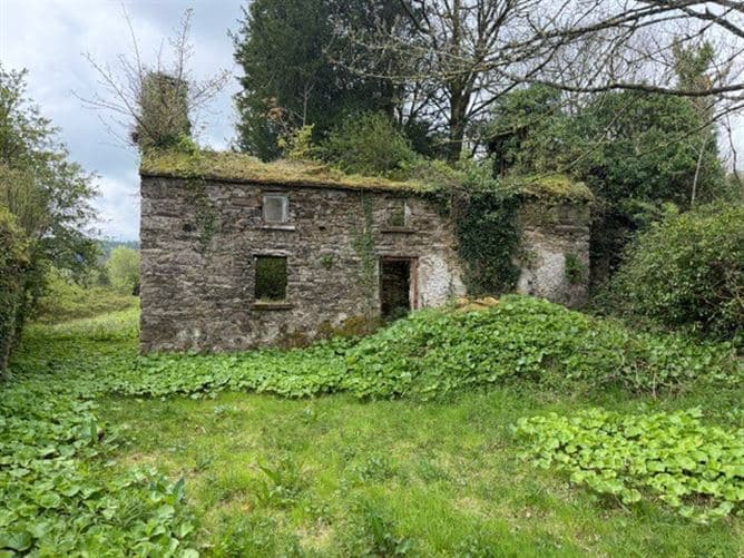 Ballyshane, Inistioge, Kilkenny